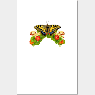 Old World Swallowtail Butterfly and Nasturtiums Posters and Art